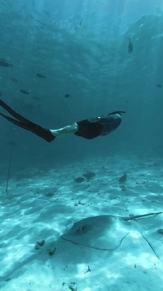 A manta ray gliding through open water with a freediver following it.